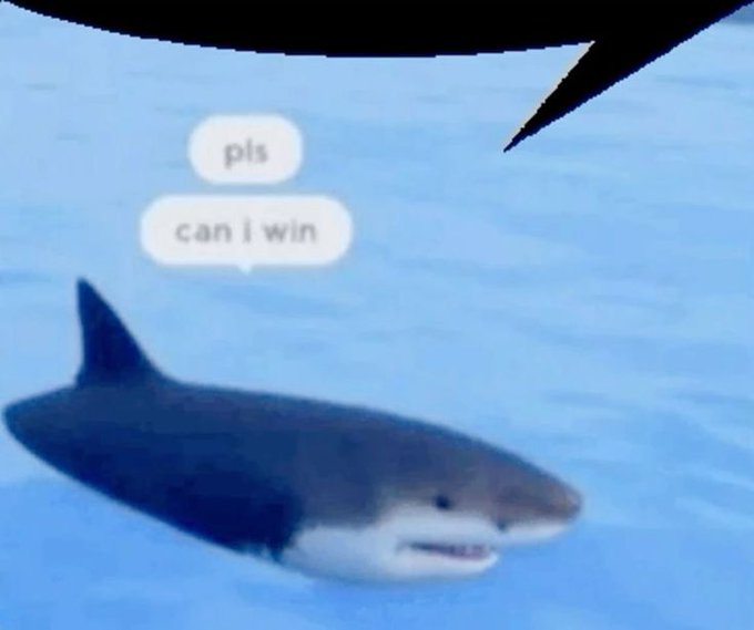 A meme of a shark looking up with speech bubbles reading 'pls can i win' beneath what appears to be an aircraft.