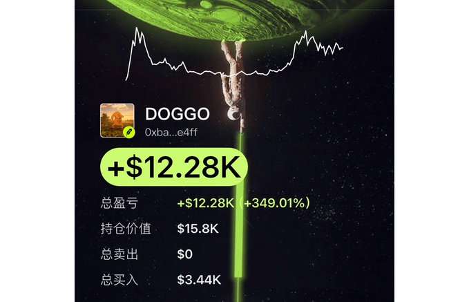 A trading portfolio screenshot with a dramatic green-themed background showing 'DOGGO' token with a total profit/loss of '+$12.28K (+349.01%)', holding value '$15.8K', total sold '$0', and total bought '$3.44K'.