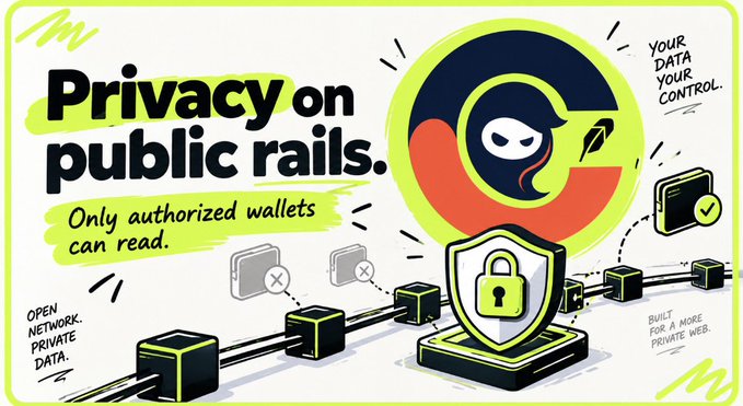 An illustrated graphic titled 'Privacy on public rails.' featuring a hooded character icon, a padlock shield, and text promoting authorized wallet access and private data control.