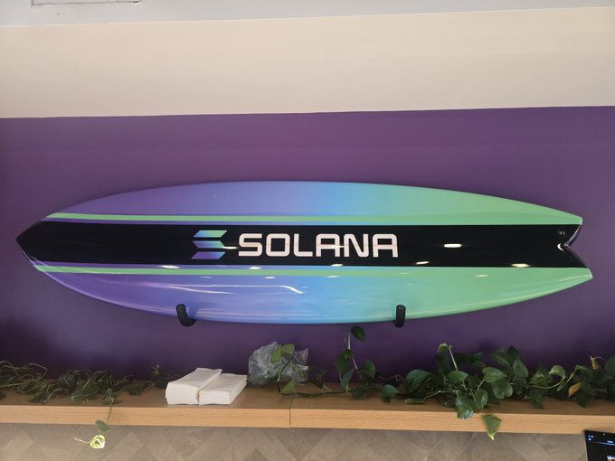 A surfboard branded with the 'SOLANA' logo and its signature gradient design is mounted on a purple and white wall, decorated with trailing pothos plants below.