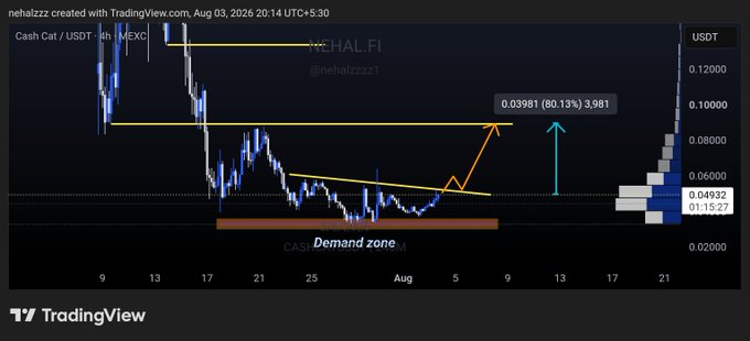 A TradingView 4-hour chart of CASH CAT / USDT (MEXC) by @nehalzzz1, dated Aug 03, 2026, showing price coiling within a demand zone near $0.0493 (up 15.27%) beneath a descending trendline, with a projected 80.13% upside target marked at $0.03981 — visually reinforcing the post's bullish breakout setup after weeks of accumulation and multiple demand bounces.