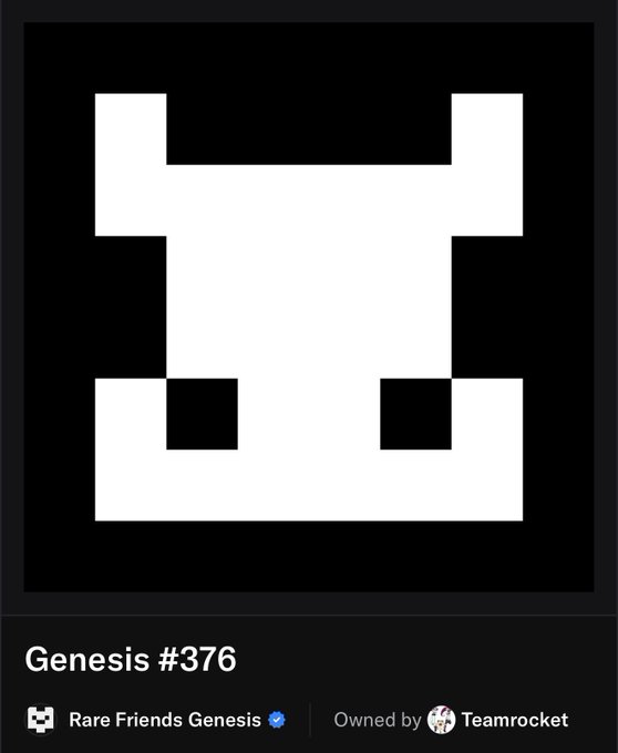 A digital NFT display showing a black and white pixelated skull design labeled 'Genesis #376' from the 'Rare Friends Genesis' collection, owned by 'Teamrocket'.