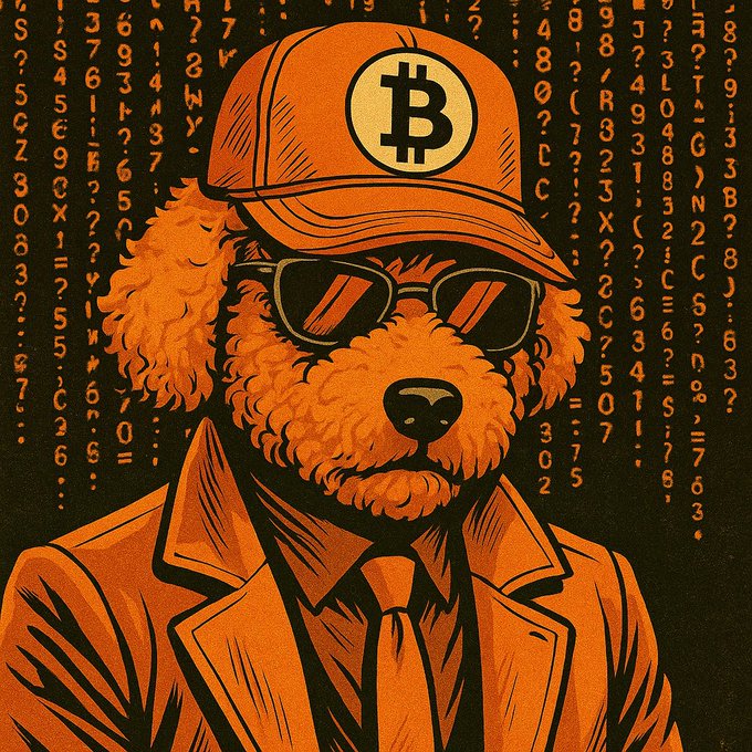 An orange-tinted illustration depicts a curly-haired dog wearing sunglasses, a tie, jacket, and a baseball cap featuring the Bitcoin logo, set against a dark background filled with falling digital numbers and characters.