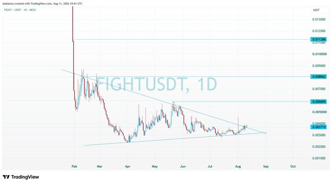 A TradingView daily chart for FIGHTUSDT showing a descending triangle pattern with prices ranging from approximately 0.002700 to 0.012000 USDT, dated August 11, 2026.