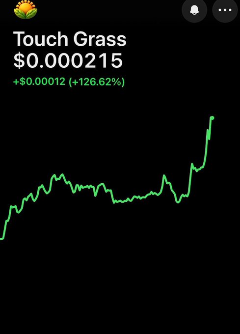 A stock or cryptocurrency tracking screen showing an asset called 'Touch Grass' with a price of $0.000215, up by +$0.00012 (+126.62%), displayed with a green upward-trending line chart.