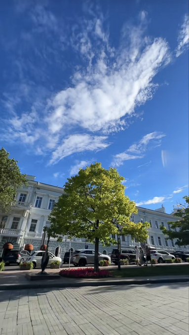 A bright blue sky with wispy clouds stretches over a row of parked cars and elegant white buildings, with a green tree in the foreground.