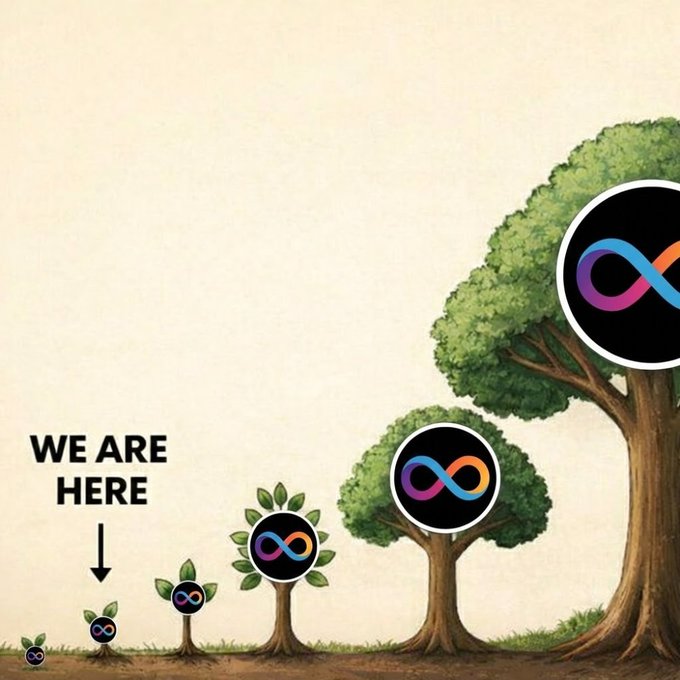 An illustration depicts the growth of a tree, with small seedlings growing into a large tree, each containing a rainbow infinity symbol. Text on the image says 'WE ARE HERE' with an arrow pointing to the smallest seedling.