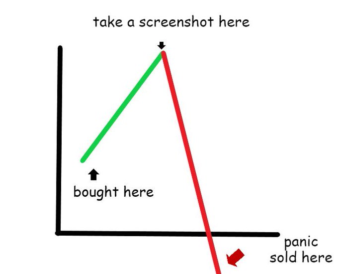 The image is a hand-drawn line chart with a green upward line labeled "bought here" leading to a peak labeled "take a screenshot here," followed by a steep red downward line ending at "panic sold here." It humorously illustrates the typical crypto trading pattern referenced in the post: buying during a rise, bragging about profits at the peak, then panic-selling as the price crashes.