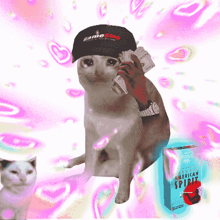A digitally edited image shows a cat wearing a 'GameStop' cap holding cash, with an American Spirit cigarette pack and another cat in the corner against a pink background with heart patterns.
