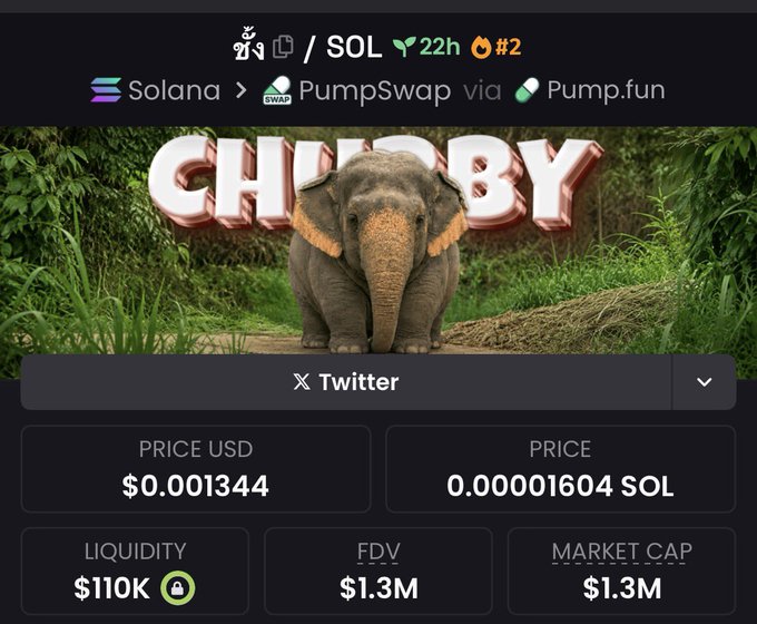 ชั้ง sitting at #1 and still looking chubby af fresh solana energy 1m mc already touched volume going crazy community moving loud this elephant not done yet imo dexscreenercom/solana/Hy38ks9
