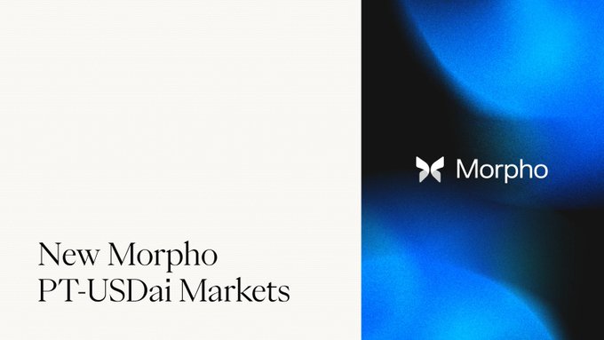 The image is a promotional graphic with a white left panel displaying the text "New Morpho PT-USDai Markets" and a right panel featuring a blue gradient background with the Morpho logo (a white butterfly-like symbol) and "Morpho" text. It visually announces the launch of the new PT-USDai borrow markets on the Morpho protocol, curated by SteakhouseFi, as referenced in the accompanying post.