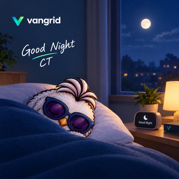 A digital illustration of a fluffy white owl character wearing purple sunglasses sleeping in a bed under a moonlit sky, with the 'vangrid' logo and 'Good Night CT' text visible on the wall.