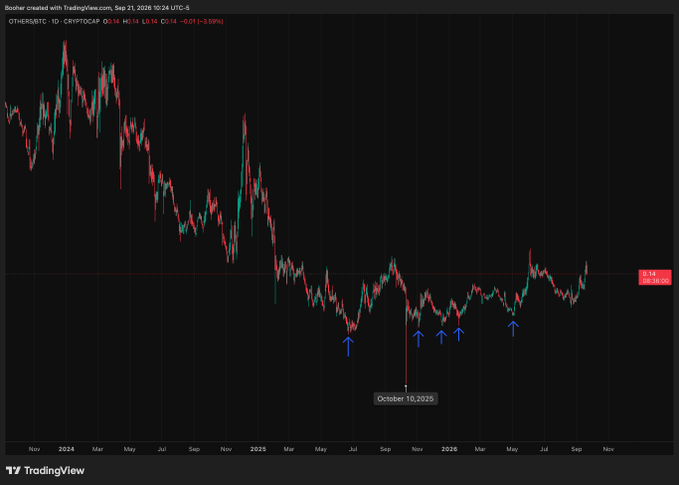 A TradingView candlestick chart for OTHERBTC on the daily timeframe showing price action from late 2024 through late 2026, with blue arrows marking bottoms around October 10, 2025.