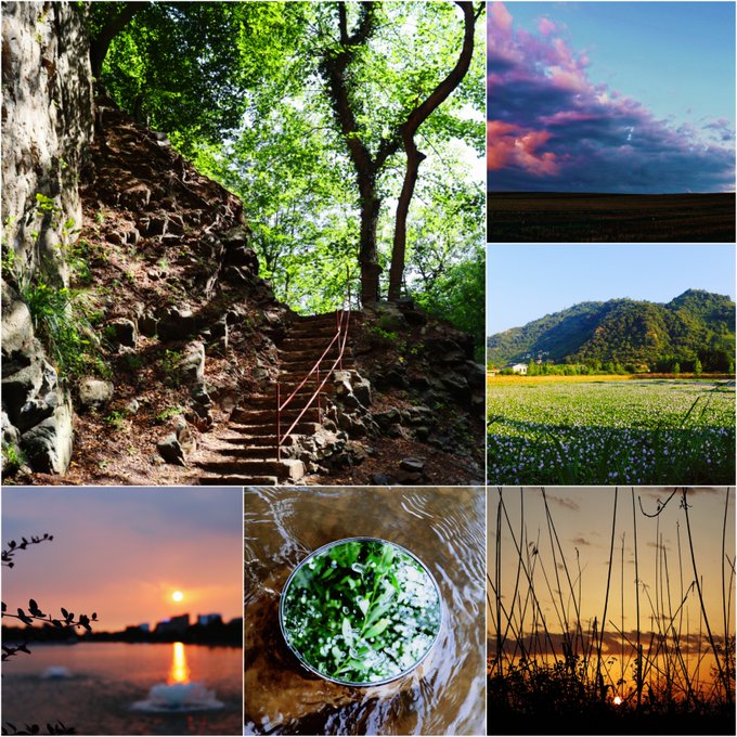 A collage of six nature photos showing a stone forest path, a sunset sky, green mountains, a city sunset, a water droplet on a leaf, and silhouetted grass at dusk.