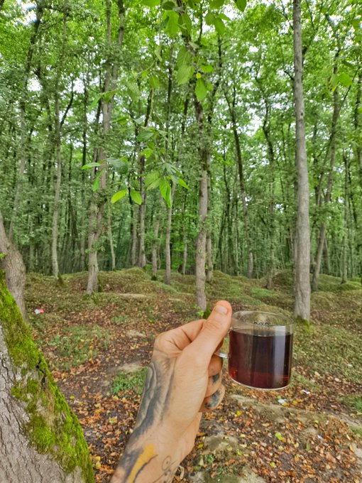 A tattooed hand holding a glass mug of dark coffee in a lush green forest setting.