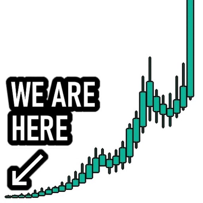 A stylized graphic featuring the text 'WE ARE HERE' with an arrow pointing to the bottom left, next to a rising green line chart.