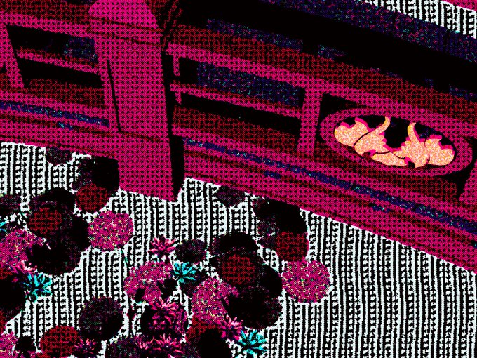 A vibrant, stylized illustration with a halftone dot pattern depicting a pink architectural structure, foliage, and abstract decorative elements.
