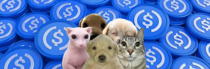 The image features a group of four animals - two dogs, one cat, and one pig - standing together against a blue background with dollar signs scattered throughout. The caption for this image reads "All OG Animal memes are skyrocketing on USDC. I decide to make a coin to reunite all and ape together".