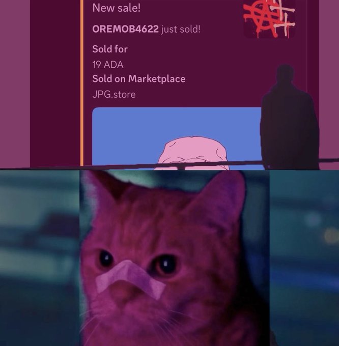 A screenshot shows an NFT sale notification 'OREMOB4622 just sold! Sold for 19 ADA on JPG.store' above an image of a sad-looking orange cat.