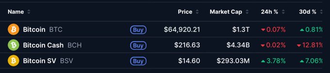 A cryptocurrency price table listing Bitcoin (BTC) at $64,920.21 with $1.3T market cap, Bitcoin Cash (BCH) at $216.63 with $4.34B market cap, and Bitcoin SV (BSV) at $14.60 with $293.03M market cap, showing 24h and 30d percentage changes.