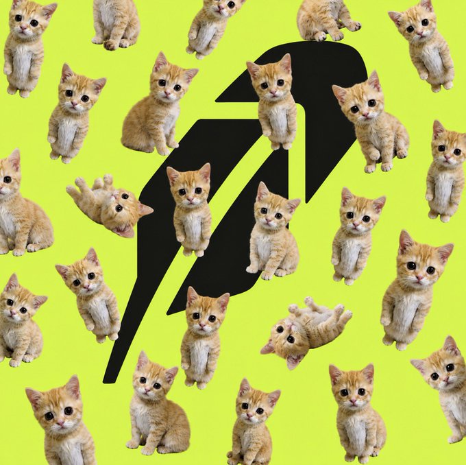 A vibrant yellow-green collage featuring a central black lightning-bolt or 'P'-shaped logo surrounded by many repeated photos of an orange tabby kitten.