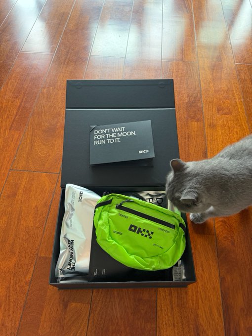 A gray cat curiously sniffs a black OKX gift box on a wooden floor, revealing a neon green running belt and a card reading "DON'T WAIT FOR THE MOON. RUN TO IT." The unboxing scene captures the Mid-Autumn Festival sports gear delivery, complete with the "THE NEW MONEY APP" promotional packaging.