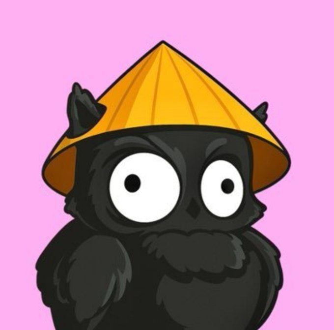 Cartoon illustration of a black fluffy creature wearing an orange conical hat on a pink background.