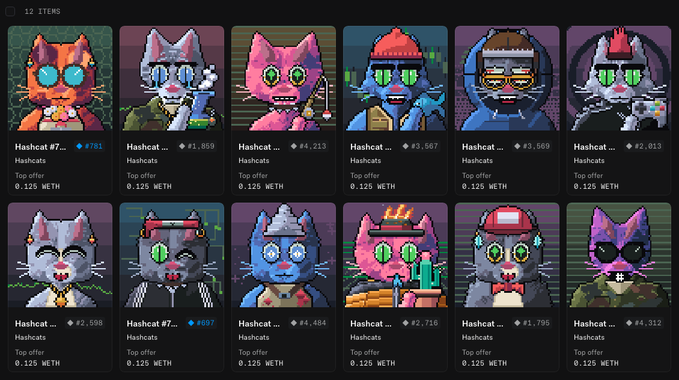 The image displays an NFT marketplace showing a "12 ITEMS" collection of Hashcat pixel-art cat avatars, each priced at 0.125 ETH with varying rarity rankings (e.g., #761, #1,859, #4,213). This directly illustrates the post's claim of purchasing 12 Hashcats the previous day, as the screen captures the entire acquired collection in one view.