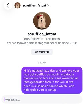 A screenshot of an Instagram profile for 'scruffles_fatcat' with 65K followers and 1.3K posts, featuring a DM message claiming to be from a Solana memecoin team asking to 'help guide you to setup.'