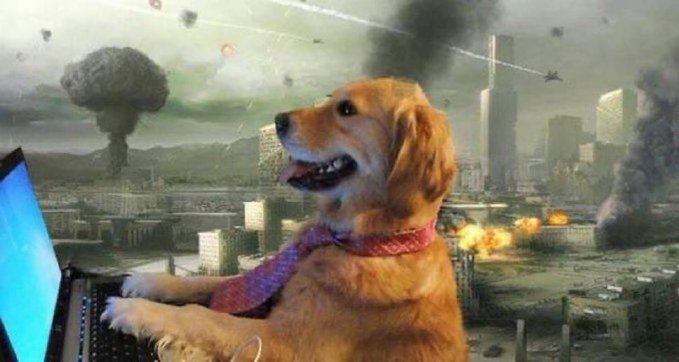 A golden retriever dog wearing a pink scarf sitting at a laptop in front of a window showing an apocalyptic cityscape with mushroom clouds and explosions.
