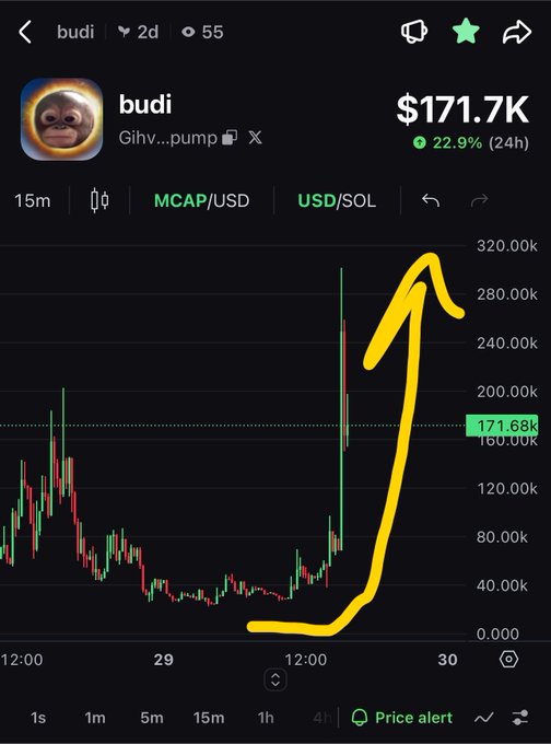 A cryptocurrency trading chart on DexScreener showing the token 'budi' (ticker on Solana) at a market cap of $171.7K, up 22.9% in 24 hours, with a large hand-drawn yellow arrow emphasizing the recent price spike.