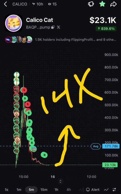 A mobile screenshot of a cryptocurrency chart for 'CALICO' (Calico Cat) showing a price of $23.1K with an 839.6% increase, marked with hand-drawn yellow annotations reading '14X' and an upward arrow pointing to a price spike.