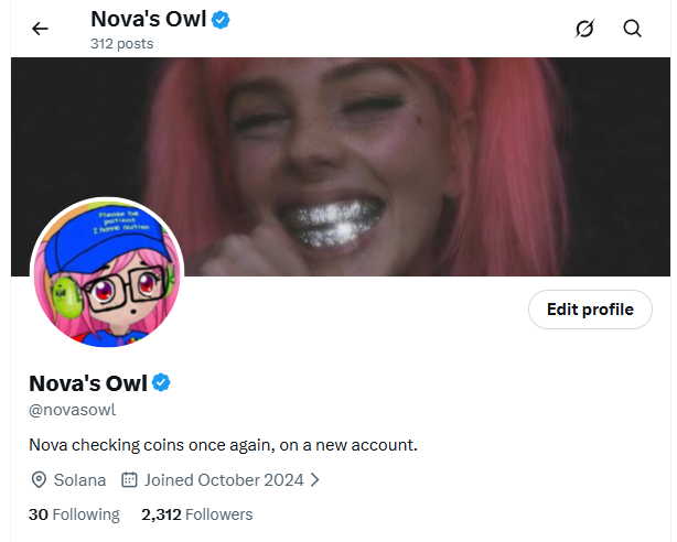 The image shows a Twitter/X profile for "Nova's Owl" (@novasowl) with 312 posts, 2,312 followers, and 30 following, featuring a header photo of a person with pink hair and metallic grillz, plus a cartoon avatar with a green bird. The bio reads "Nova checking coins once again, on a new account," directly reflecting the post's message about the user creating this secondary account to share coin-checking updates without spamming their main profile.
