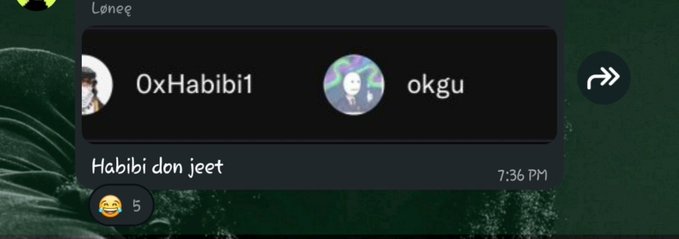 A chat message screenshot showing users '0xHabibi1' and 'okgu' with the text 'Habibi don jeet' sent at 7:36 PM, with a laughing emoji reaction.