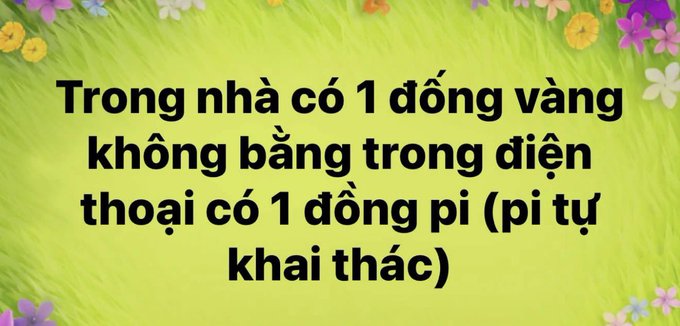 A Vietnamese-language meme with a floral background stating 'Trong nhà có 1 đống vàng không bằng trong điện thoại có 1 đồng pi (pi tự khai thác)' — roughly translating to 'A pile of gold at home is not worth a Pi coin (self-mined Pi) in the phone.'