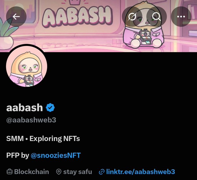 A Twitter/X profile page for verified user 'aabash' (@aabashweb3) with a Sloth PFP by @snooziesNFT, bio reading 'SMM • Exploring NFTs • PFP by @snooziesNFT', with links to Blockchain and linktr.ee/aabashweb3.