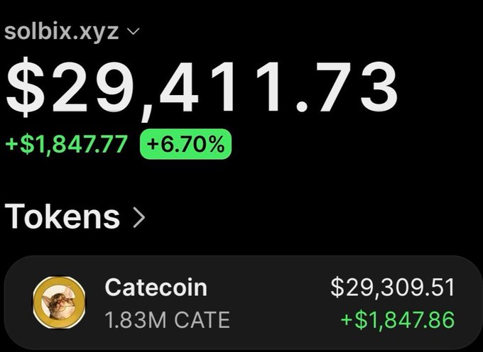 A screenshot from solbix.xyz displays a wallet holding Catecoin (CATE), showing a balance of $29,411.73 with a daily gain of +$1,847.77 (+6.70%), and 1.83M CATE tokens valued at $29,309.51. This visualizes the wallet's remaining holdings supporting the post's claim of a profitable position in $Cate.