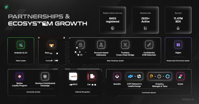 A presentation slide titled 'PARTNERSHIPS & ECOSYSTEM GROWTH' showing Beldex metrics: 6403 Name Service registered, 2935+ Master node Active, 11.47M BDX Burned, along with various partnership updates including Android, PancakeSwap, Kigen, Beldex Loyalty Program, and QuickEX.