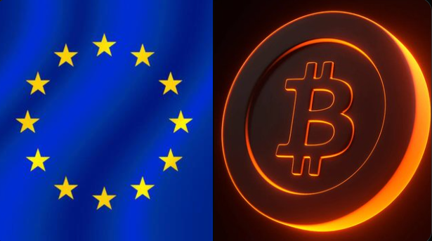 The image features two different logos, one of which is a blue and yellow European Union flag with a black Bitcoin symbol on top, and another logo that says "WHALE WATCH" above a Bitcoin symbol. The first logo represents the European Union, while the second logo suggests an interest in cryptocurrency or Bitcoin. Both logos are placed against a dark background, making them stand out prominently.