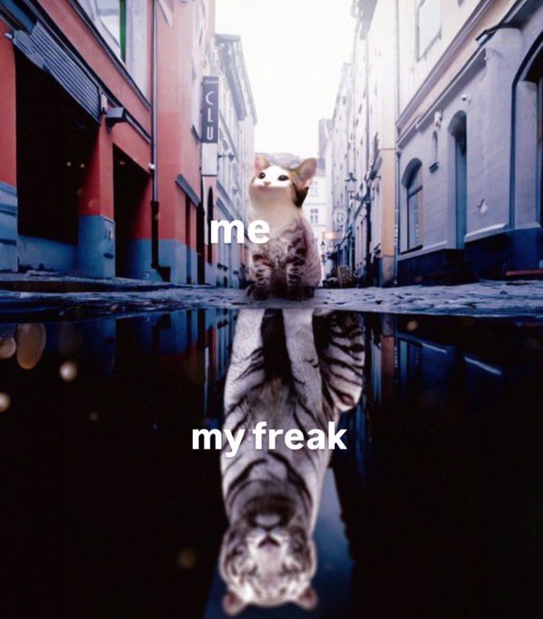 A humorous meme showing a small kitten standing on a wet street labeled "me" with its fierce tiger reflection in a puddle labeled "my freak."
