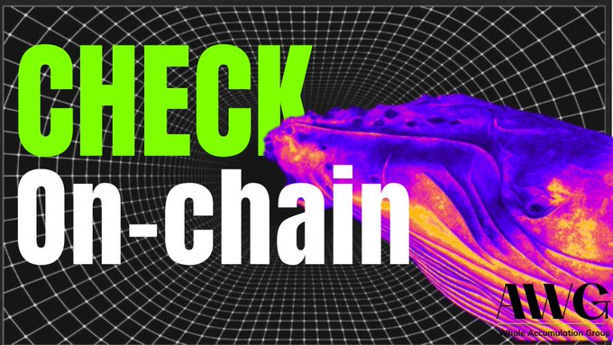 A graphic with the text 'CHECK on-chain' in large green and white letters next to a purple and orange whale, with a 'Whale Accumulation Group' logo in the bottom right corner.
