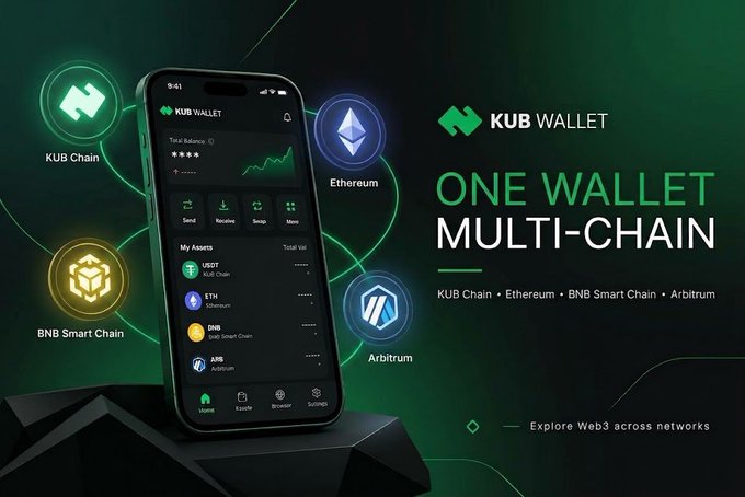 Advertisement for Kub Wallet, a 'ONE WALLET MULTI-CHAIN' mobile app supporting KUB Chain, Ethereum, BNB Smart Chain, and Arbitrum.