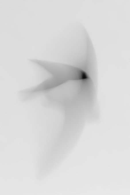 An abstract, minimalist 3D render featuring soft, flowing white and light gray forms against a white background.