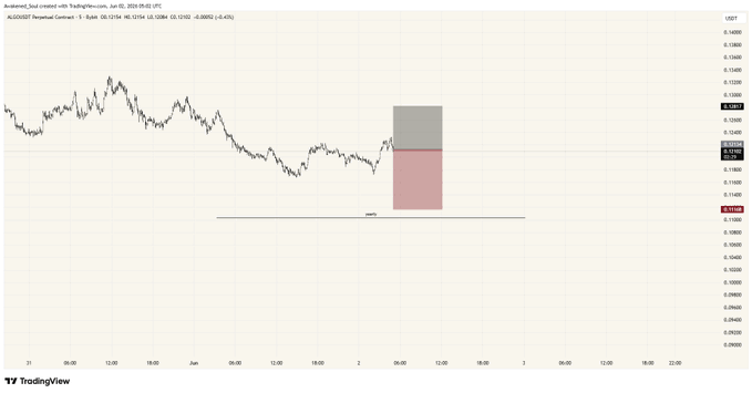 The image shows a graph with a red box containing a line that goes up and down, indicating a change in value over time. The x-axis of the graph represents time, while the y-axis displays the value or quantity being measured. The text "Shorted #ALGOUSDT A minus setup" is written above the graph, which suggests that this image might be related to a trading strategy or analysis involving shorting positions in the stock market.