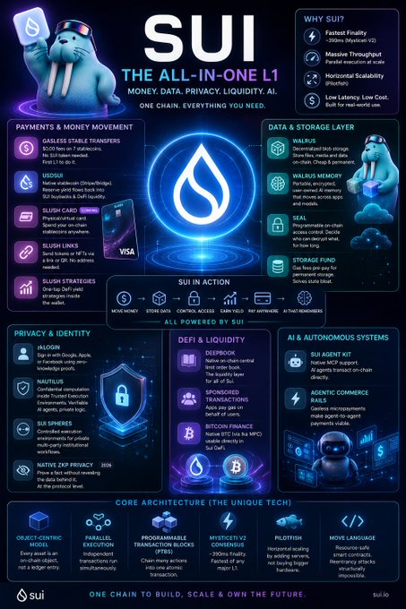 An infographic detailing the features of the SUI Layer-1 blockchain, including sections on payments, data storage, privacy, DeFi, and AI, with its signature blue water-drop logo.