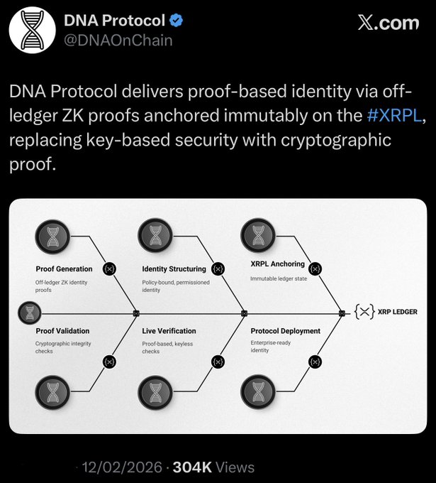 A tweet from DNA Protocol (@DNAOnChain) explaining proof-based identity via off-ledger ZK proofs anchored on #XRPL, accompanied by a flowchart diagram.