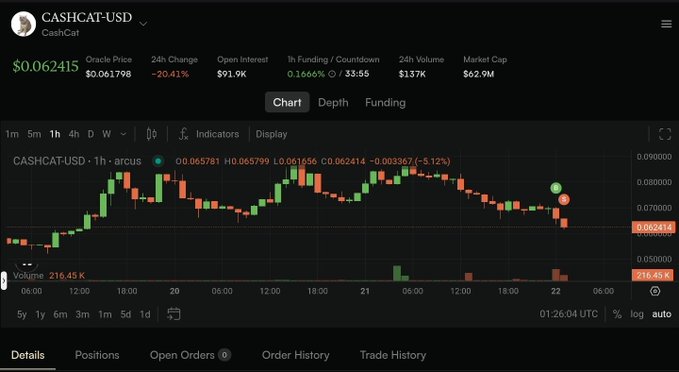 A cryptocurrency trading chart displays CASHCAT-USD priced at $0.062415, showing a 20.41% decline with a 24-hour volume of $137K and market cap of $62.9M.