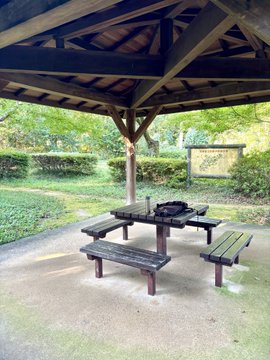 A wooden pavilion with picnic tables and benches sits on a gravel clearing surrounded by green grass and trees in a park.