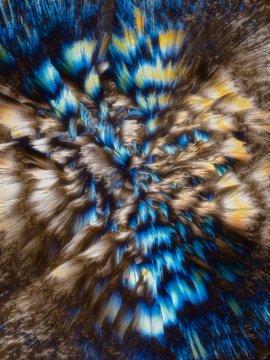 An abstract digital artwork featuring a radial burst pattern with blue, gold, and brown colors, creating a textured, explosive visual effect.
