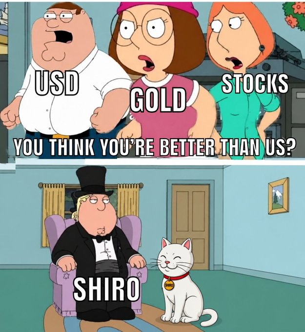 The image is a two-panel meme using *Family Guy* characters: the top panel shows Peter, Meg, and Lois labeled "USD," "GOLD," and "STOCKS" with the caption "YOU THINK YOU'RE BETTER THAN US?", while the bottom panel features Chris dressed in a tuxedo labeled "SHIRO" sitting confidently next to a cat. It humorously illustrates the post's message that established assets doubt a new memecoin like SHIRO, which is portrayed as quietly superior.
